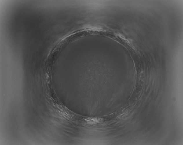 X0000076071303200610061551