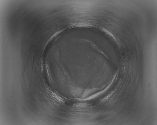 X0000076071306200610061551