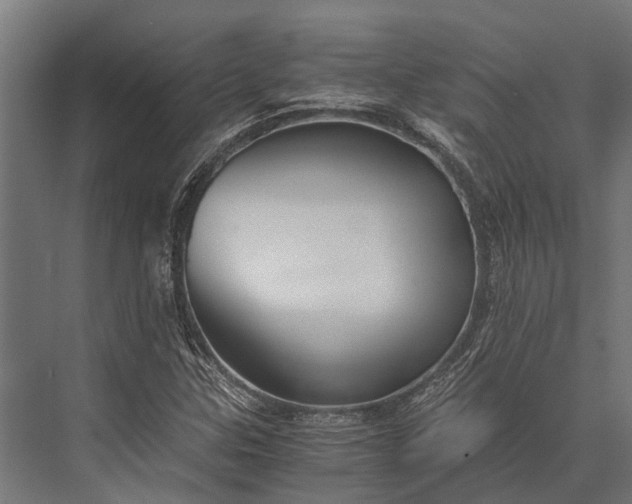 X0000076071307200610061551