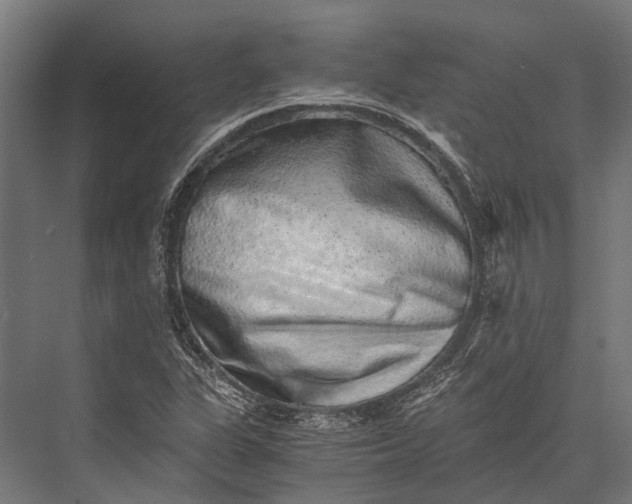 X0000076071311200610061552