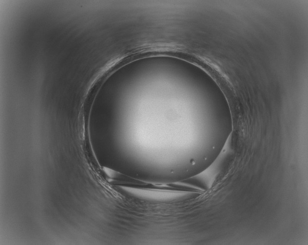 X0000076071317200610061552