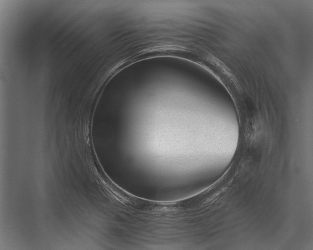 X0000076071321200610061552