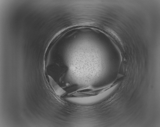 X0000076071324200610061552