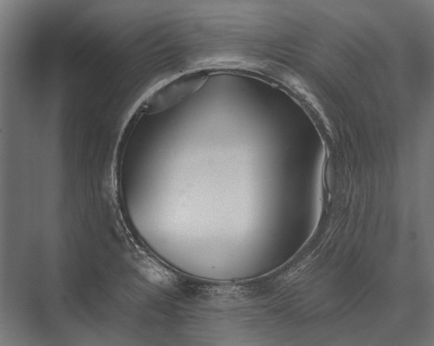 X0000076071328200610061552