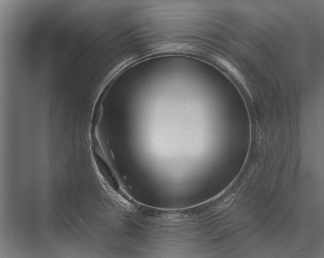 X0000076071330200610061552