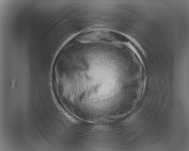X0000076071333200610061552