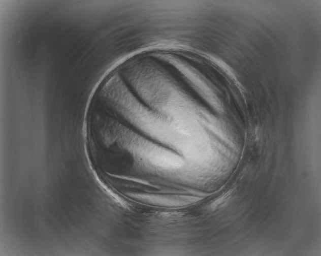 X0000076071335200610061552