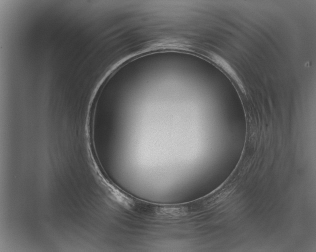 X0000076071339200610061552