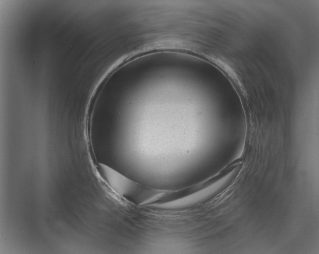 X0000076071342200610061552