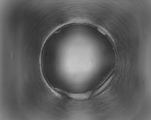 X0000076071343200610061552
