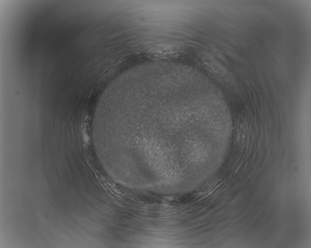 X0000076071346200610061551