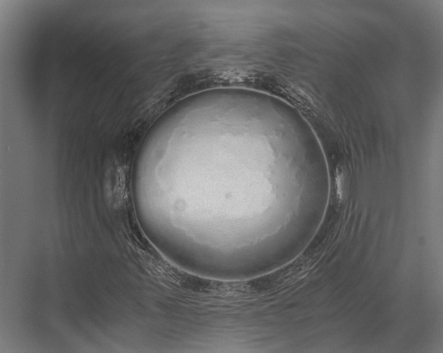 X0000076071347200610061551