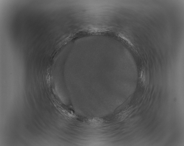 X0000076071348200610061551