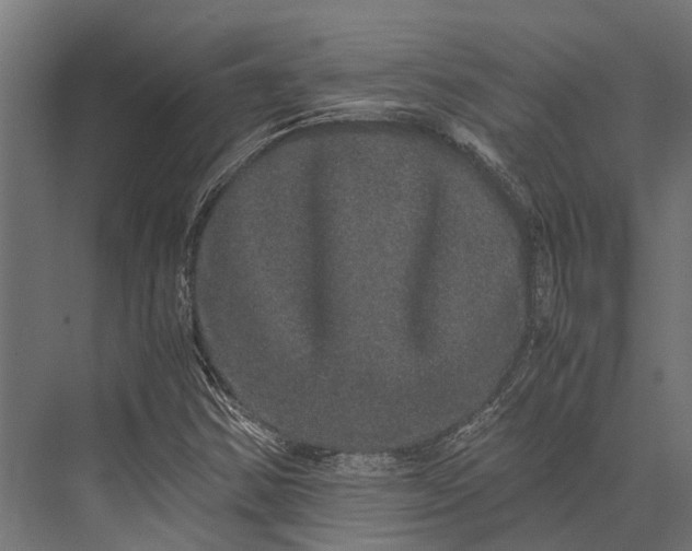 X0000076071354200610061551