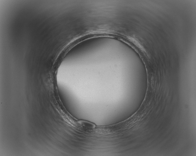 X0000076071356200610061551