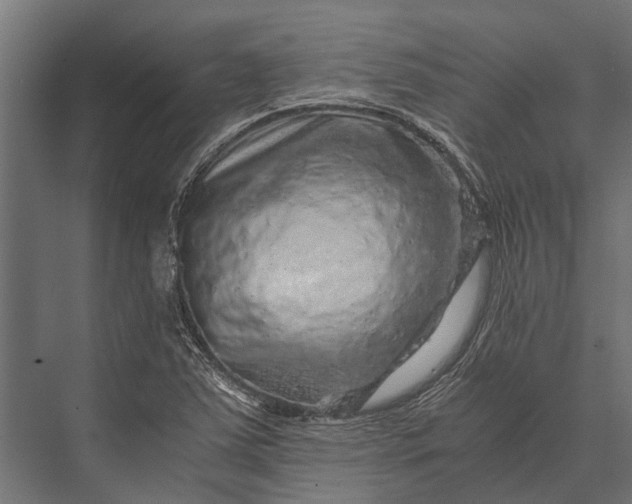 X0000076071363200610061551