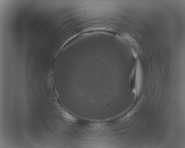 X0000076071369200610061551