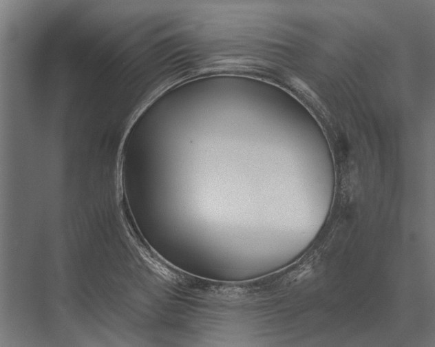 X0000076071370200610061551
