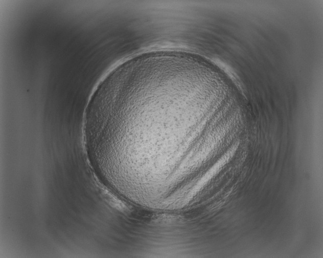 X0000076071374200610061551