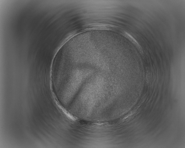 X0000076071378200610061551