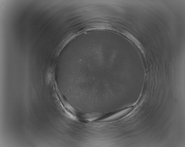 X0000076071385200610061551