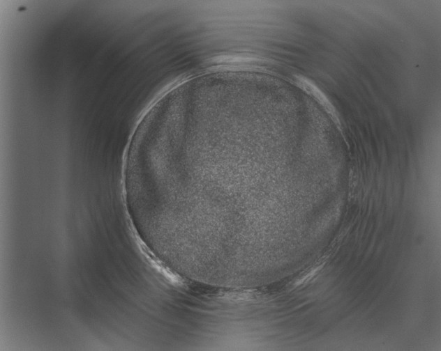 X0000076071386200610061551