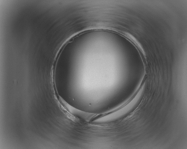 X0000076071388200610061551