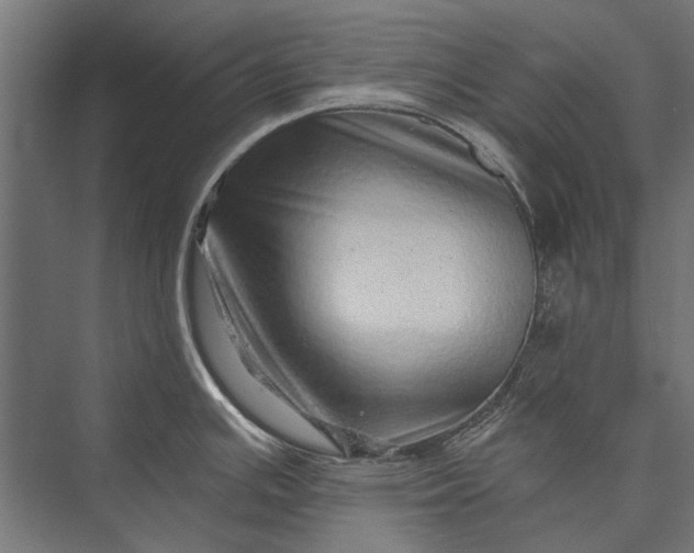 X0000076071391200610061551