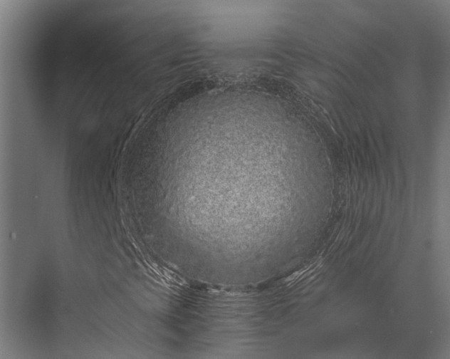 X0000076071393200610061550