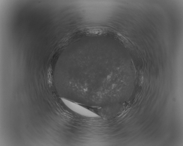 X0000076071394200610061550