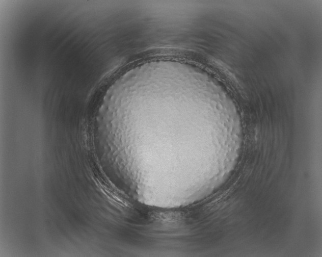 X0000076071403200610061550
