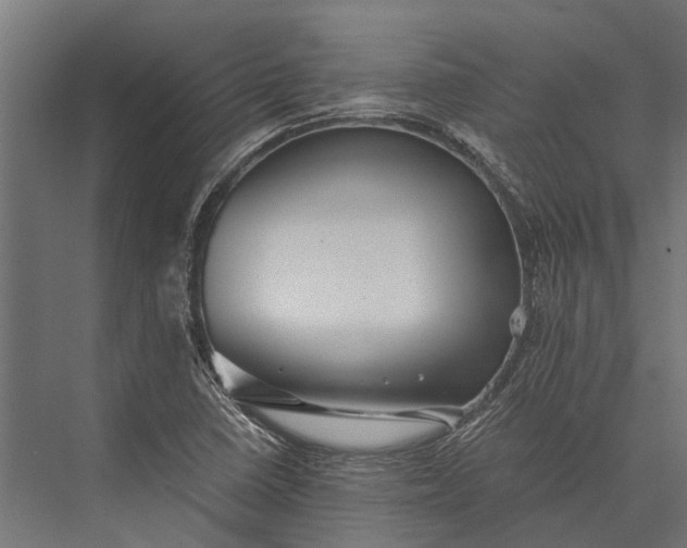 X0000076071410200610061550