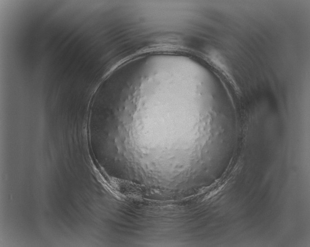 X0000076071417200610061550