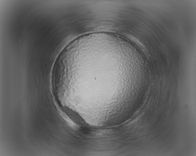 X0000076071423200610061550