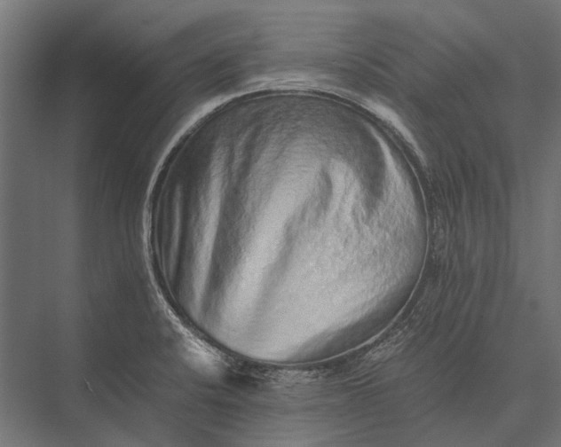 X0000076071424200610061550