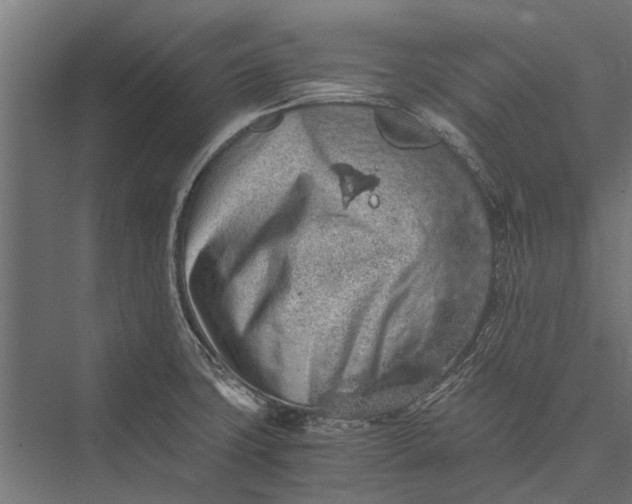 X0000076071427200610061550