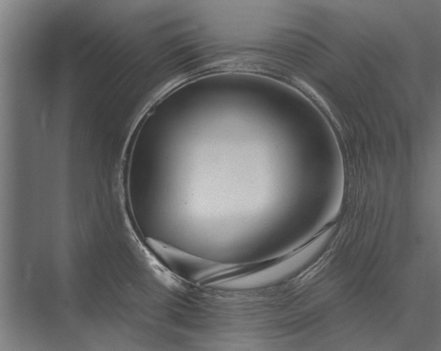 X0000076071434200610061550