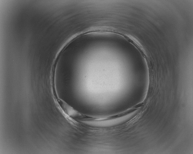 X0000076071438200610061550