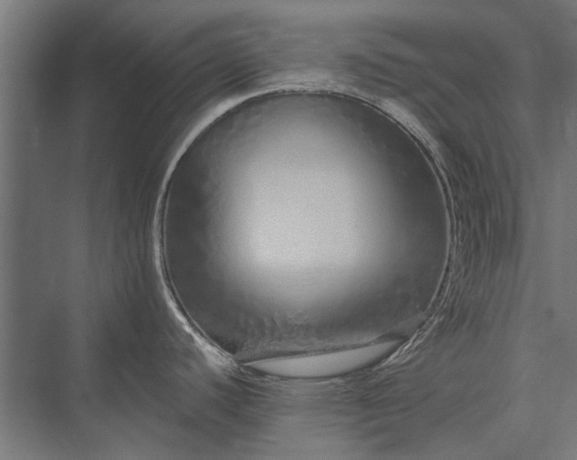 X0000076071440200610061551