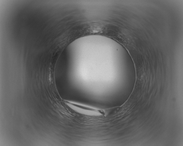 X0000076071442200610061550