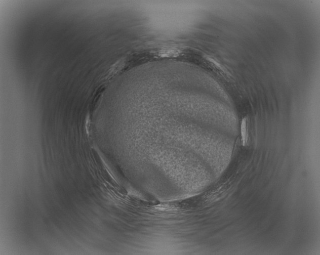 X0000076071443200610061550
