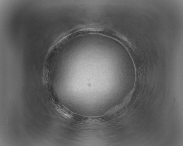 X0000076071448200610061550