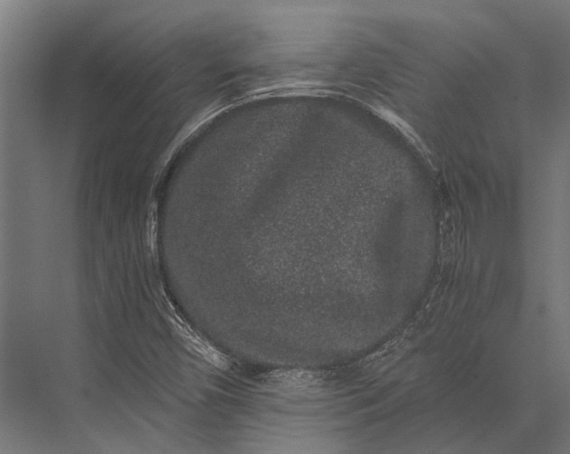 X0000076071450200610061550