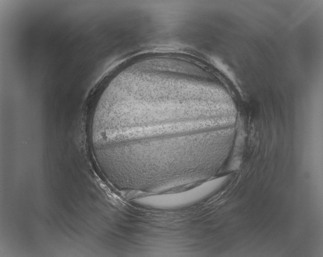 X0000076071456200610061549
