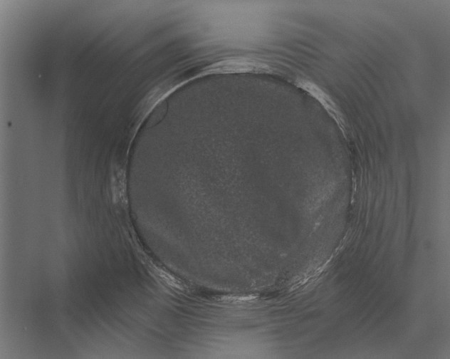 X0000076071465200610061549