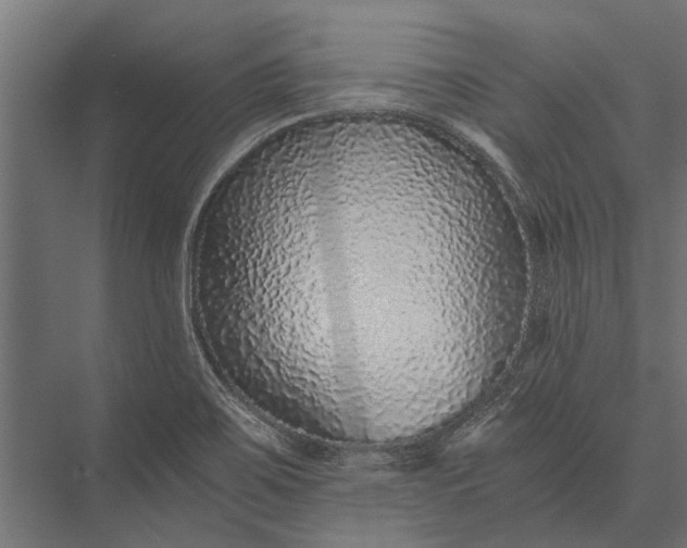 X0000076071467200610061549