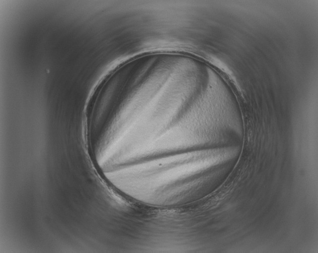 X0000076071472200610061549