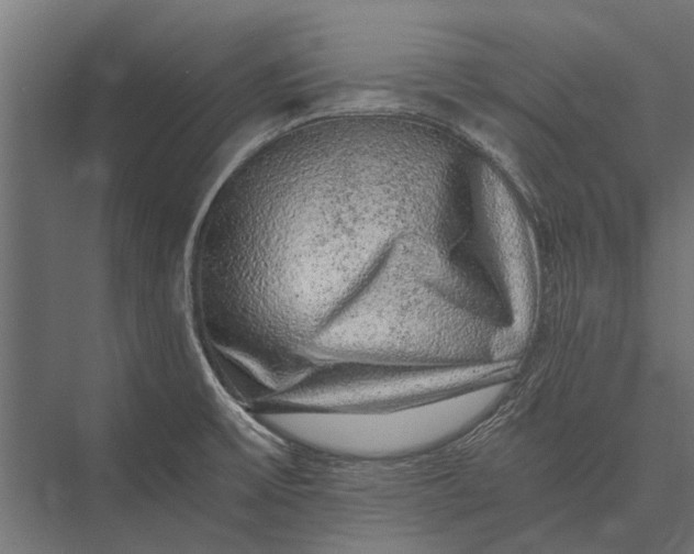 X0000076071475200610061549