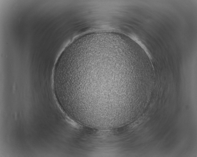 X0000076071477200610061549