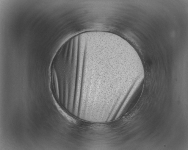 X0000076071479200610061549